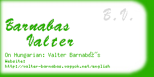 barnabas valter business card